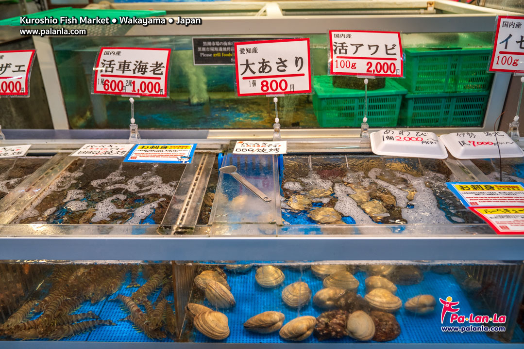 Kuroshio Fish Market